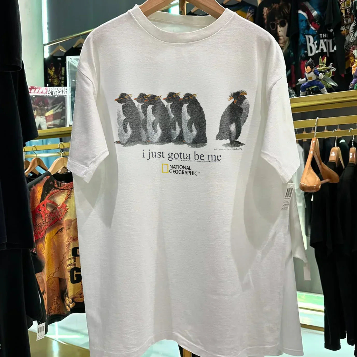 2001 'I JUST GOTTA BE ME' ROCKHOPPER NAT GEO RARE WASHED WHITE T-SHIRT